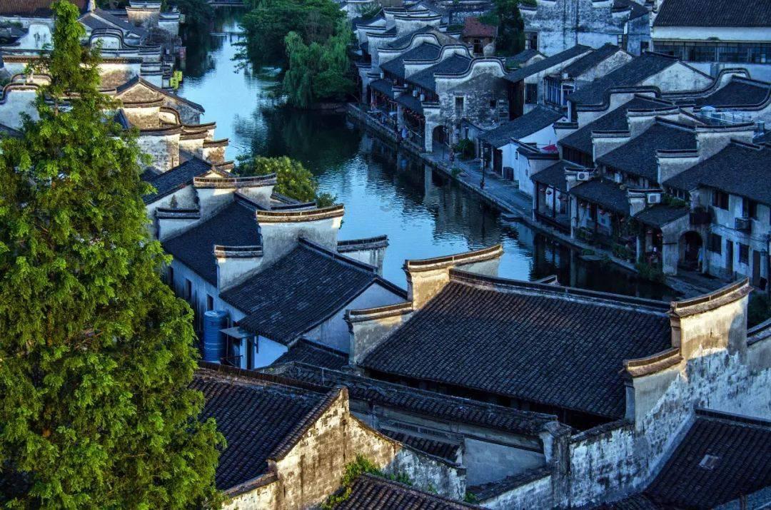 呼和浩特市教育局：坚决克服“唯分数”“唯升学”倾向，严禁炒作升学率、“中考状元”“单科状元”等